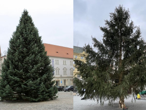 ANKETA: Souboj vánočních stromů v Brně. Vyhrává u lidí Zelný trh, nebo Svoboďák?