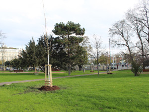 Lidem v Brně se otevřelo opravené Moravské náměstí za 130 milionů korun