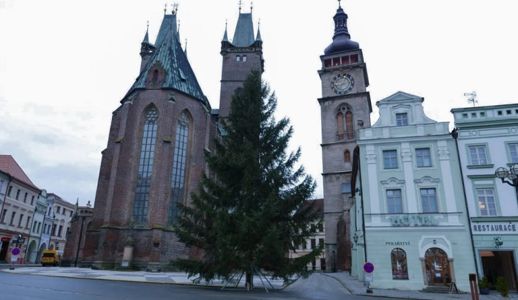 Hradecká náměstí už zdobí vánoční stromy, rozsvítí se v neděli