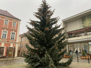 Dva stromy, ruské kolo i výzdoba jako v Praze. Znojmu advent nezkazí ani ceny energií