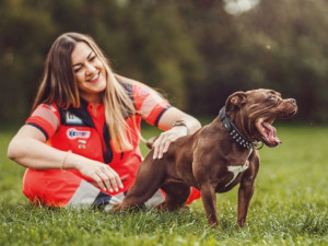 Jihomoravští záchranáři pózovali s hadem i včelami. Vyrobili kalendář