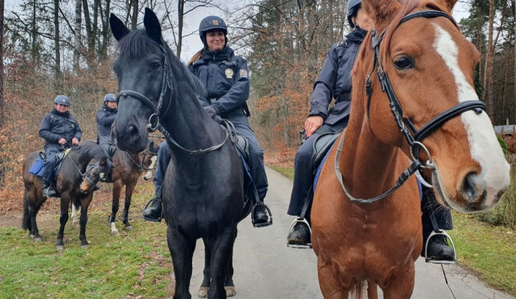 Jihomoravští strážci zákona sedli na koně, aby střežili chaty zahrádkářů