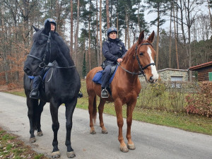 Po jižní Moravě hlídkují policisté na koních a kontrolují zazimované chaty. Jednu už našli odemčenou