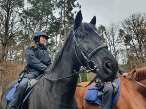 Po jižní Moravě hlídkují policisté na koních a kontrolují zazimované chaty. Jednu už našli odemčenou