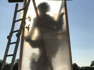 Na slavkovský zámek se vrací vzácné barokní sochy, kterým chyběly prsty