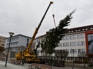 Je to koště, stěžují si lidé v Blansku na vánoční strom. Přidává se i starosta