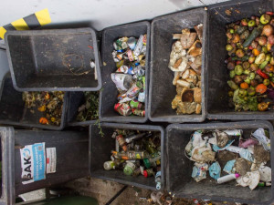 Brněnští vědci se dívají lidem na sídlištích do odpadků. Chtějí zabránit vyhazování jídla