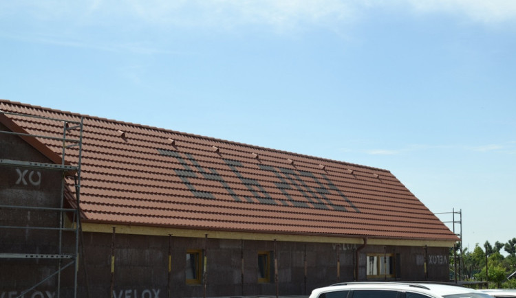 Ilustrační foto. Hrušky v roce 2022