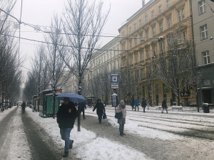 Brno zasypal sníh, dopravní podnik odkláněl šaliny