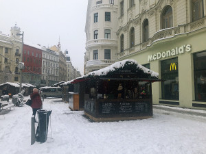 Brno se probudilo do sněhu
