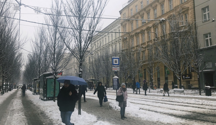 Brno se probudilo do sněhu