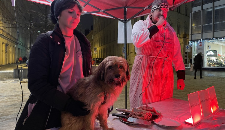 O Vánocích si dejte místo kapra psa, radili lidem aktivisté v Brně