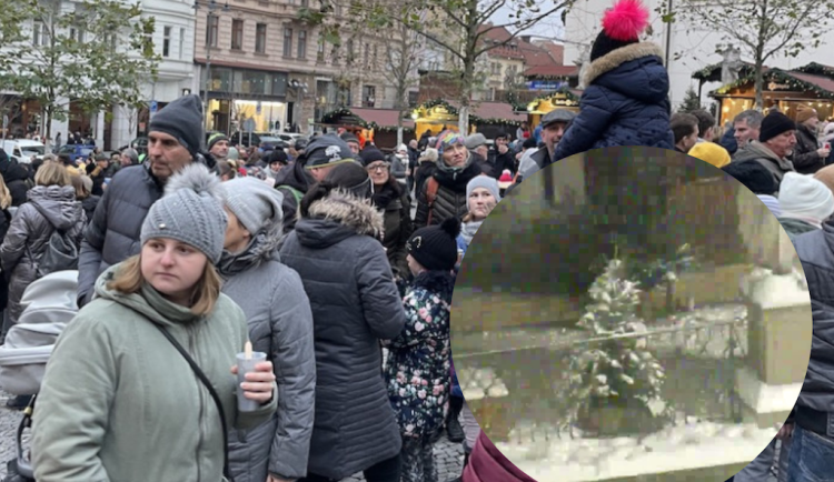 Brňané se připravují na Vánoce. Od radnice odtáhli stromek