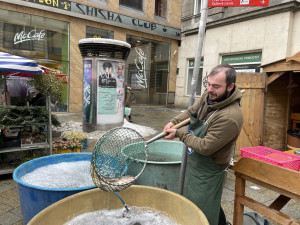 Do Brna připlavali vánoční kapři. Lidé si za ryby připlatí