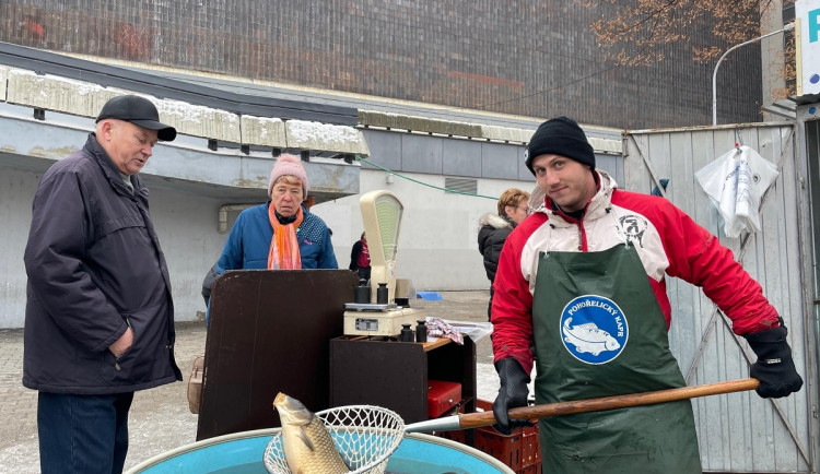 Prodej kaprů v Brně