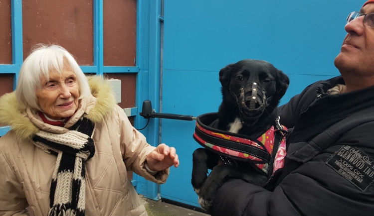 Brněnská psí máma pomáhá mazlíčkům bezdomovců. Své jmění rozdá útulku