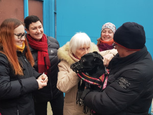 Brněnská psí máma pomáhá mazlíčkům bezdomovcům a věnujeme své jmění