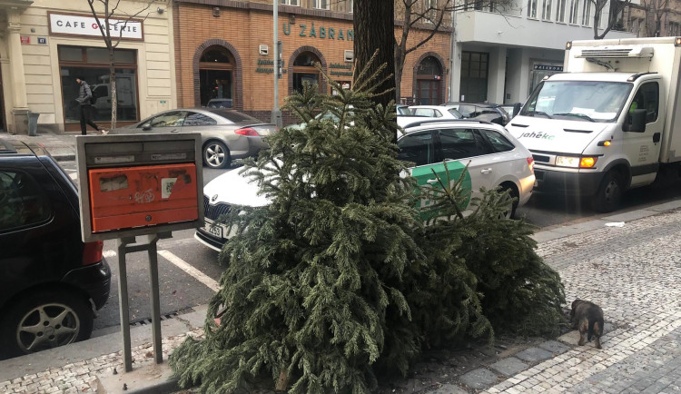 Za vánoční strom vyhozený na ulici hrozí pokuta až dvacet tisíc korun. Kam s ním?
