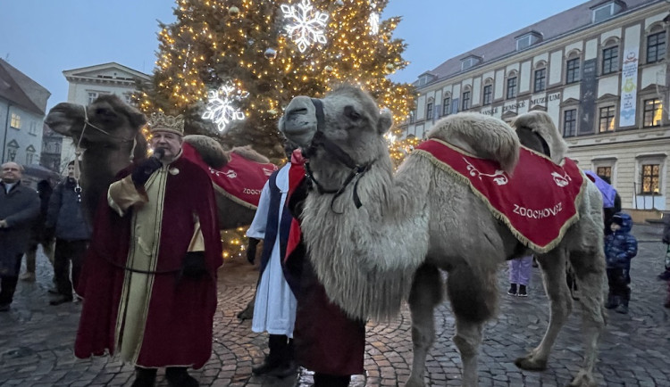 Brnem pochodovali velbloudi. Došlo až před radnici