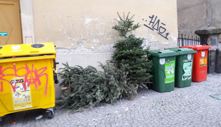 Z vyhozených vánočních stromů vyrábí v Brně energie