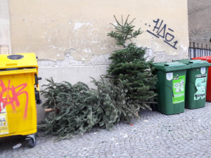 Z vyhozených vánočních stromů vyrábí v Brně energie