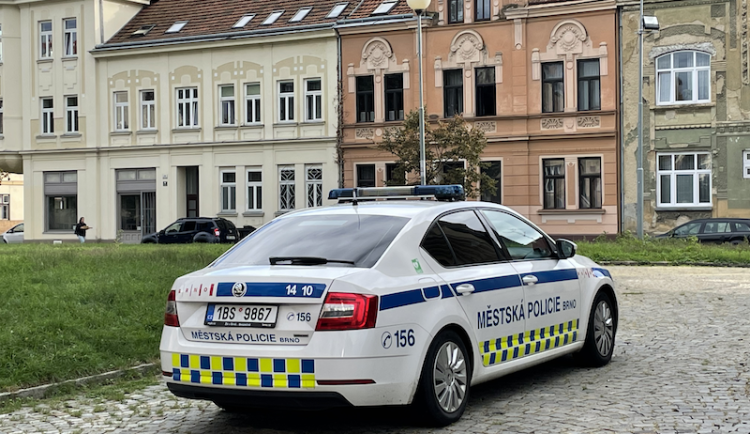 Malý pes v Brně otočil hlavu a poslal důchodkyni s krvavými otisky na chirurgii