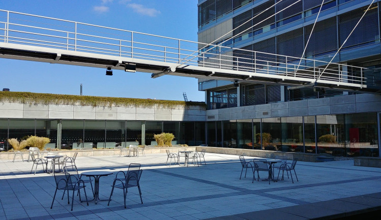 Ilustrační foto. PEF MENDELU