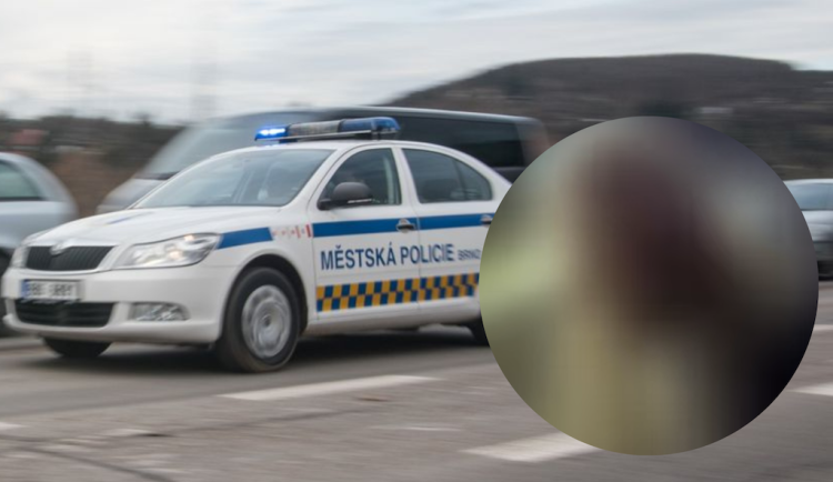 Z brněnské restaurace vyhnali šedivého mudrce. Za piva chtěl platit jízdenkou a lichotkami