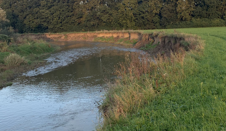 Ilustrační fotografie