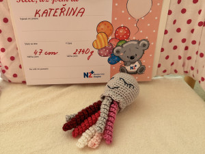 Lékaři našli ve znojemském babyboxu Kačenku. Byla zabalená do trička