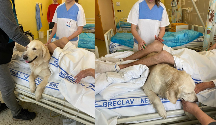 Pacienty břeclavské nemocnice rozradostnili psí terapeuti