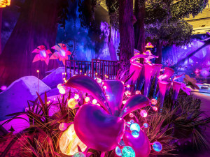 Do Brna přijedou šmoulové. Ve městě založí vesnici