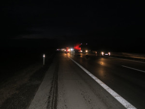 Na dálnici u Brna vběhlo stádo divokých prasat. Způsobilo hromadnou nehodu