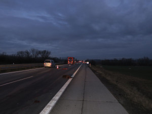 Na dálnici u Brna vběhlo stádo divokých prasat. Způsobilo hromadnou nehodu