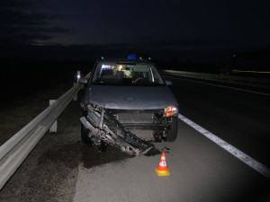 Na dálnici u Brna vběhlo stádo divokých prasat. Způsobilo hromadnou nehodu