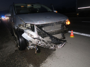 Na dálnici u Brna vběhlo stádo divokých prasat. Způsobilo hromadnou nehodu