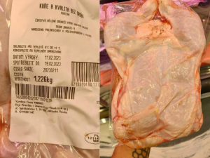 Poláci poslali do českých supermarketů kuřecí se salmonelou, zlobí se potravináři