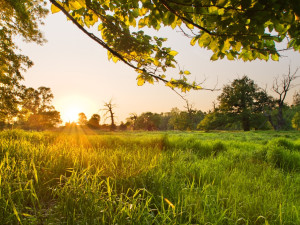 Z oblasti Soutok se stane CHKO