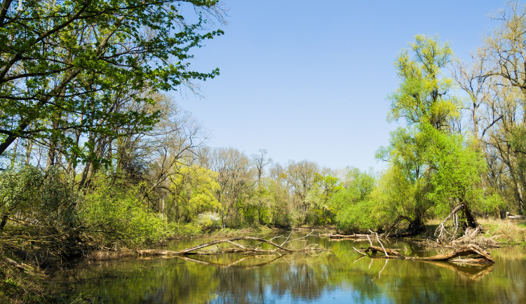 Z oblasti Soutok se stane CHKO