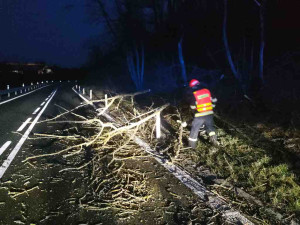 Popadané stromy i rozbité střechy. Hasiči uklízejí jižní Moravu po silném větru