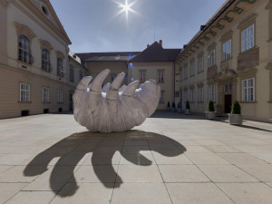 Po Brně putovala obří nafukovací želvuška. Neviditelný živočich vyděsil kolemjdoucí