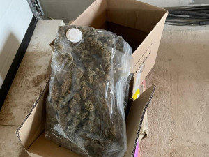 Pošťák otevřel veselý balíček plný marihuany. Na odesílatele naběhlo komando celníků