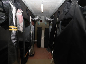 Pošťák otevřel veselý balíček plný marihuany. Na odesílatele naběhlo komando celníků