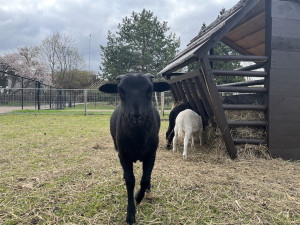 Královo Pole otevřelo park