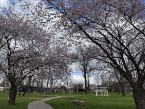 Královo Pole otevřelo park