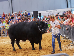 Na brněnském výstavišti se představí hospodářská zvířata a myslivost