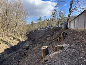 Ulice Petra Jilemnického