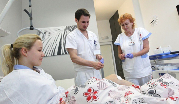 V brněnské nemocnici provedou ročně stovku transplantací krvetvorných buněk