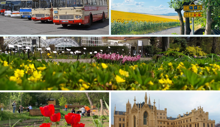 Kam o víkendu? Na kole po jižní Moravě i do Brna za historickými vozidly