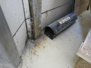 Vyškovská pekárna má utrum. Byla plná hmyzu, špíny a plísně